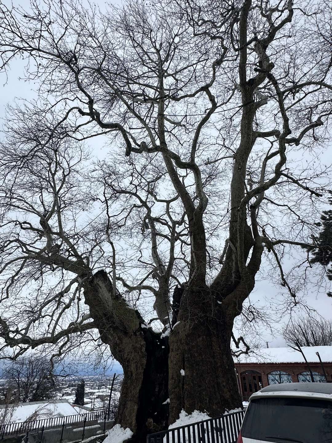 Кахетия: вино, легенды и красота (в группе) (Екатерина)