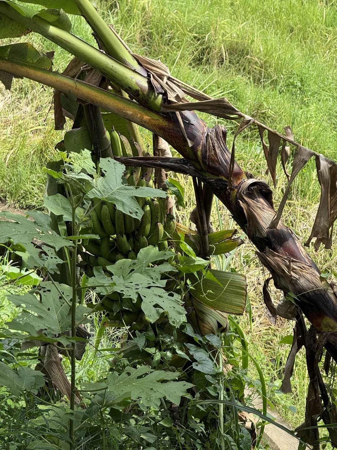 Экскурсия шикарная, 8 часов на одном дыхании! Очень рекомендую₽ Гид великолепен, огромное ему спасибо 🙏!!! Все