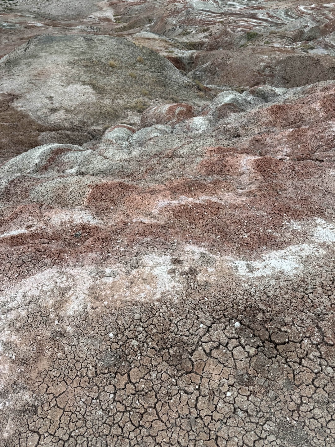 Все прошло прекрасно! Полное сопровождение. Поездка супер комфортная. Очень интересно и увлекательно гид рассказывает про достопримечательности