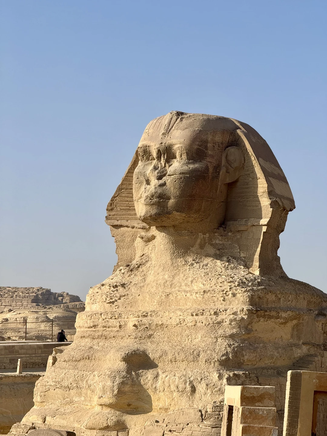 Каир и пирамиды Гизы (из Хургады) (Дарья)