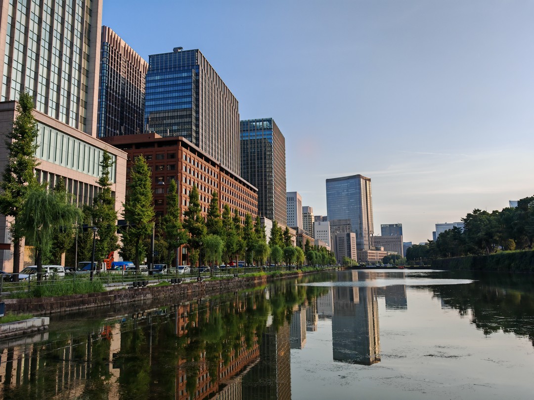 Экскурсию нам проводила гид Виктория. За довольно короткий промежуток времени с послеобеда мы побывали на Асакусе