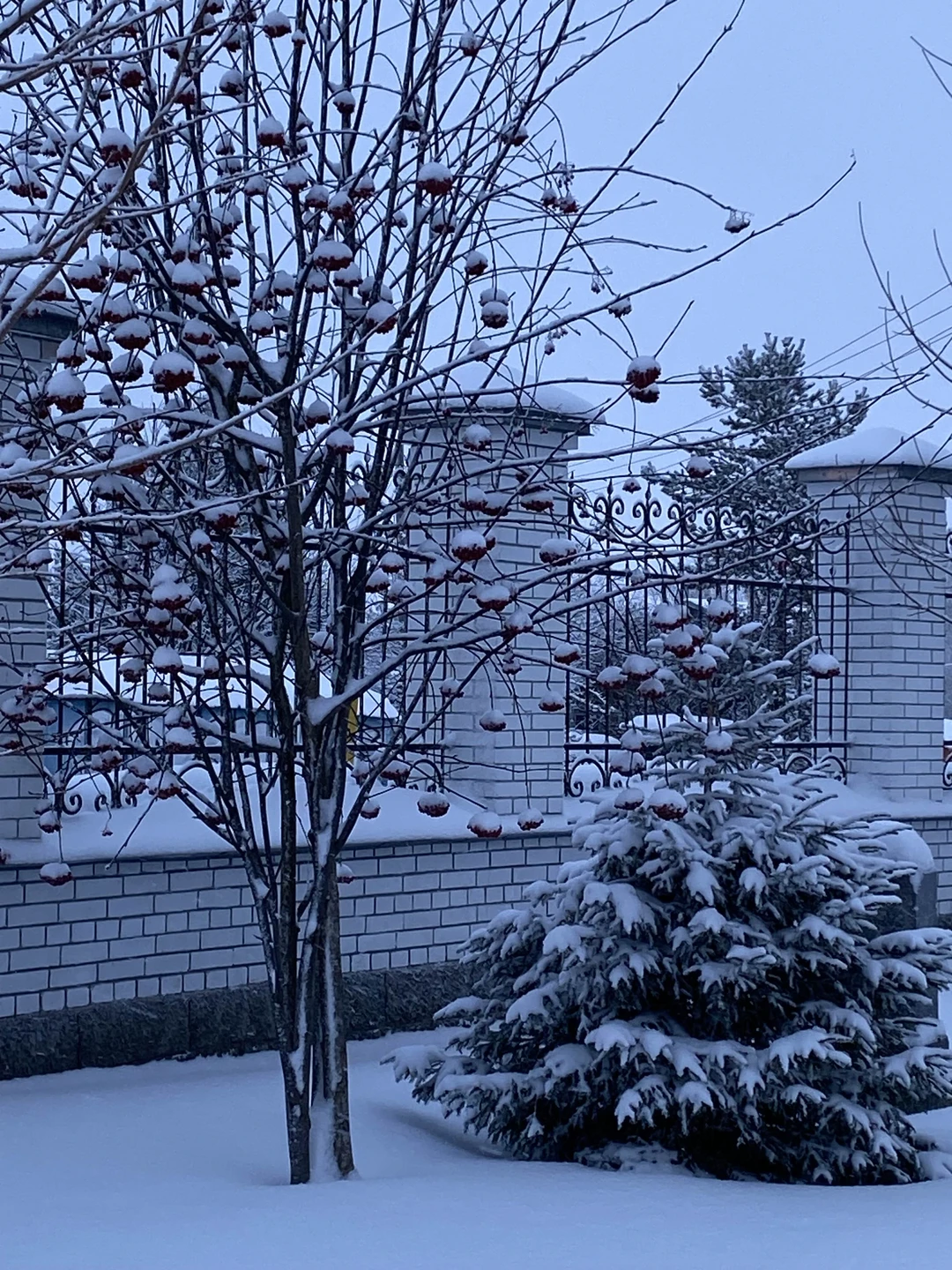 Отличная экскурсия, на одном дыхании. Евгений рассказал много интересных фактов, но и лишней информацией не перегружал