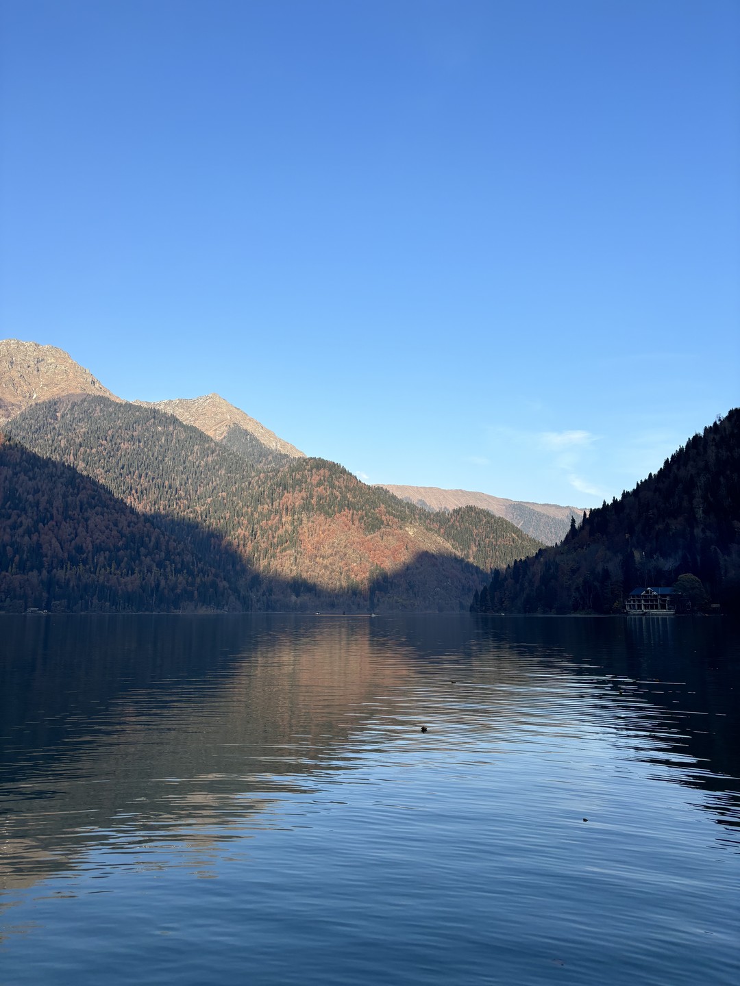 Очень понравилась поездка, вайб такой, словно ты путешествуешь с родственником, который тебе показывает красивые места) соотношение