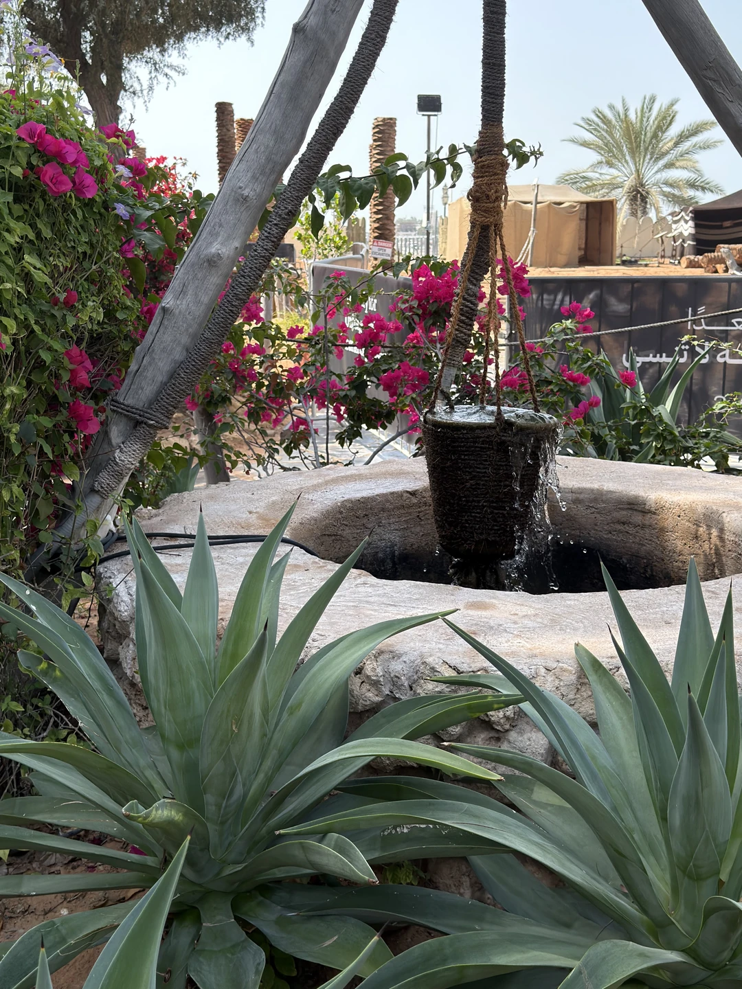 Красоты Абу-Даби - столицы ОАЭ (Polina)