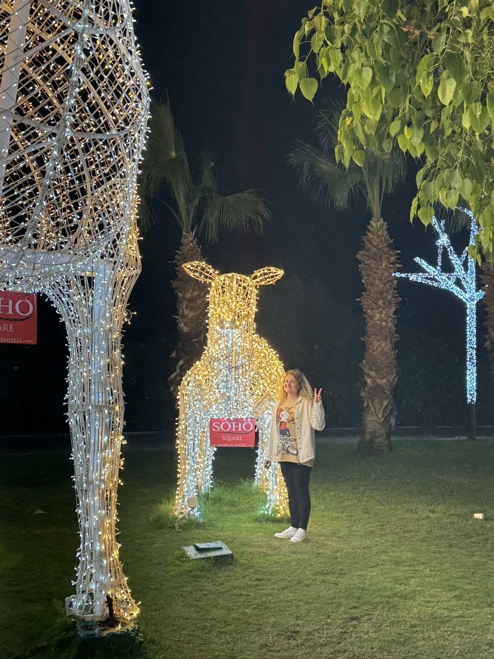 Вечерняя прогулка по Шарм-эль-Шейху (Нина)