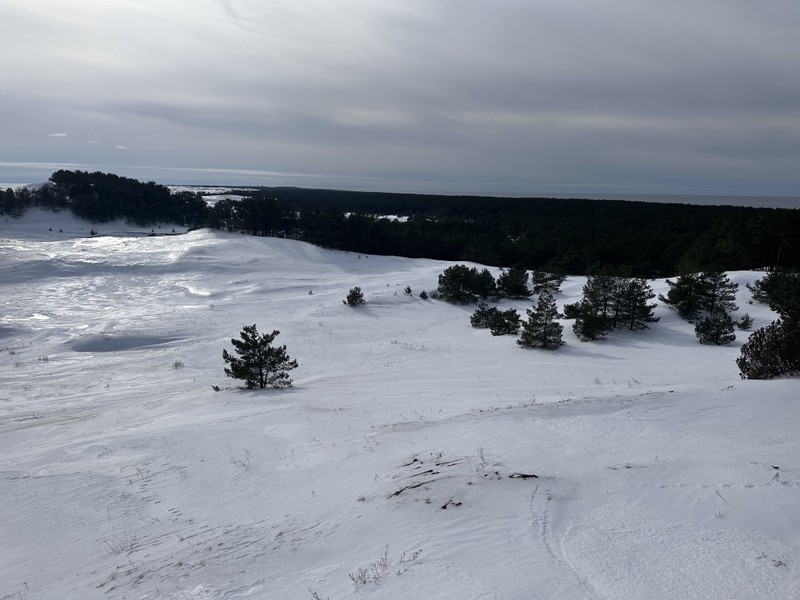 Была на экскурсии 22 февраля. К сожалению, Дмитрий заболел, и как альтернативу предложил, чтобы экскурсию провела