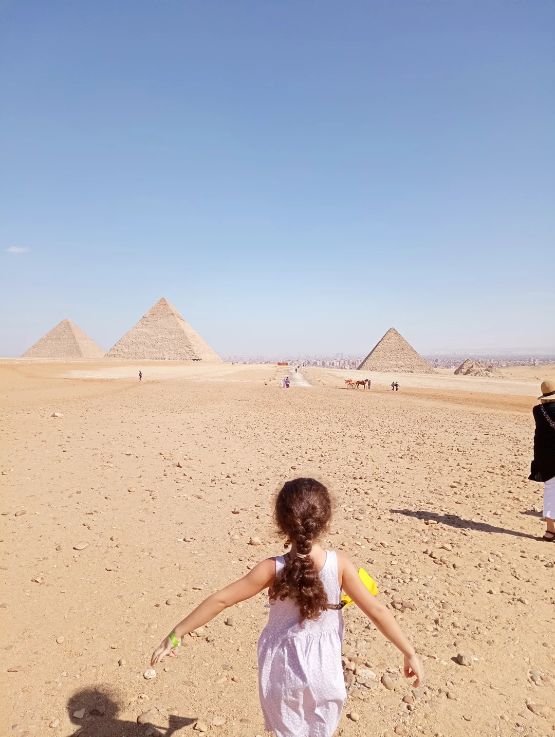 Всем привет! Нам очень понравилось! В Египте в первый раз. Отдыхала в середине февраля 2026, на