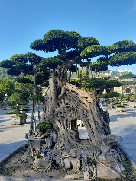 Наталья удивительно приятный и спокойный человек. С ней было очень комфортно общаться. Экскурсия была очень насыщенной