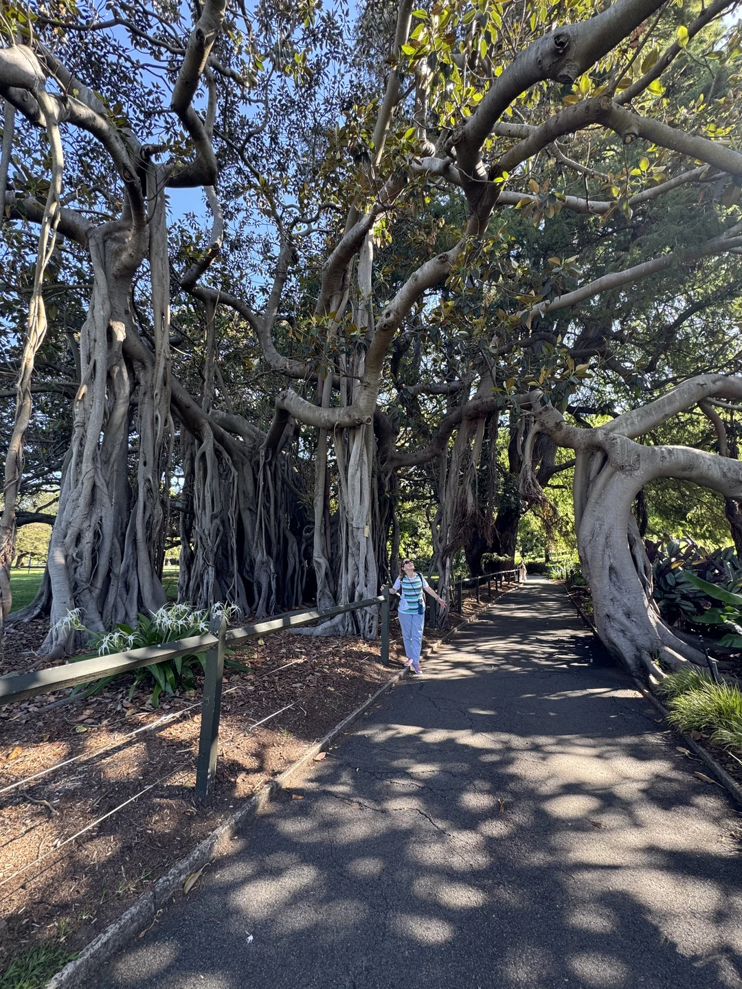 Увлекательно, познавательно, всё просто замечательно) Приехать в Сидней без знания английского - та ещё авантюра, но