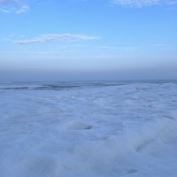 Фото отзыва 7: экскурсия "Куршская коса: природа и история"