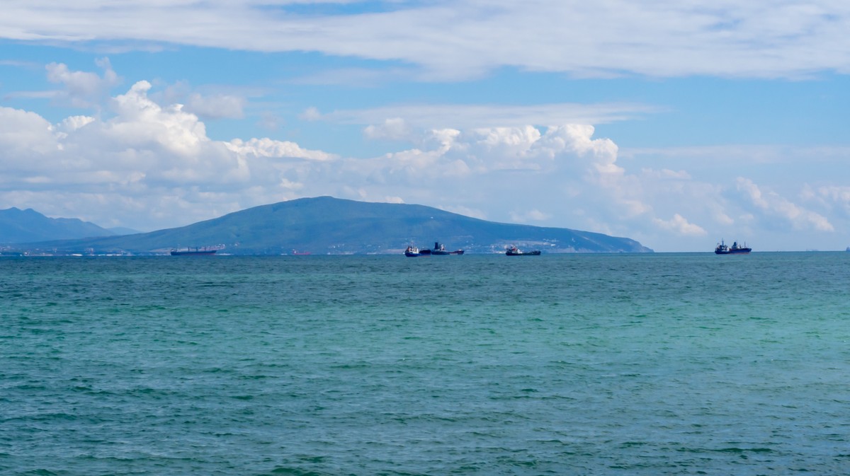 Морская рыбалка в районе Новороссийска (2/6)