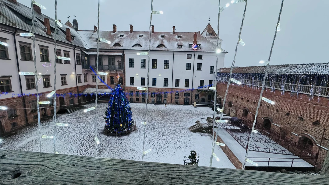 Замки Беларуси: групповая экскурсия в Мир и Несвиж из Минска (Мария)