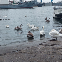 Фото туриста Анна 2 - Путешествие в Балтийск: от закрытого города до открытого моря