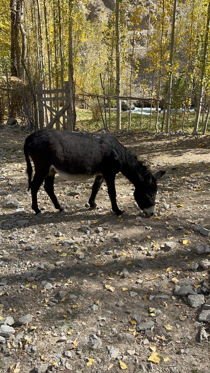 Хафткул: семь удивительных озёр (Ксения)
