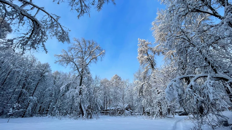 Из Дивеево - в Курихинский Знаменский женский монастырь
