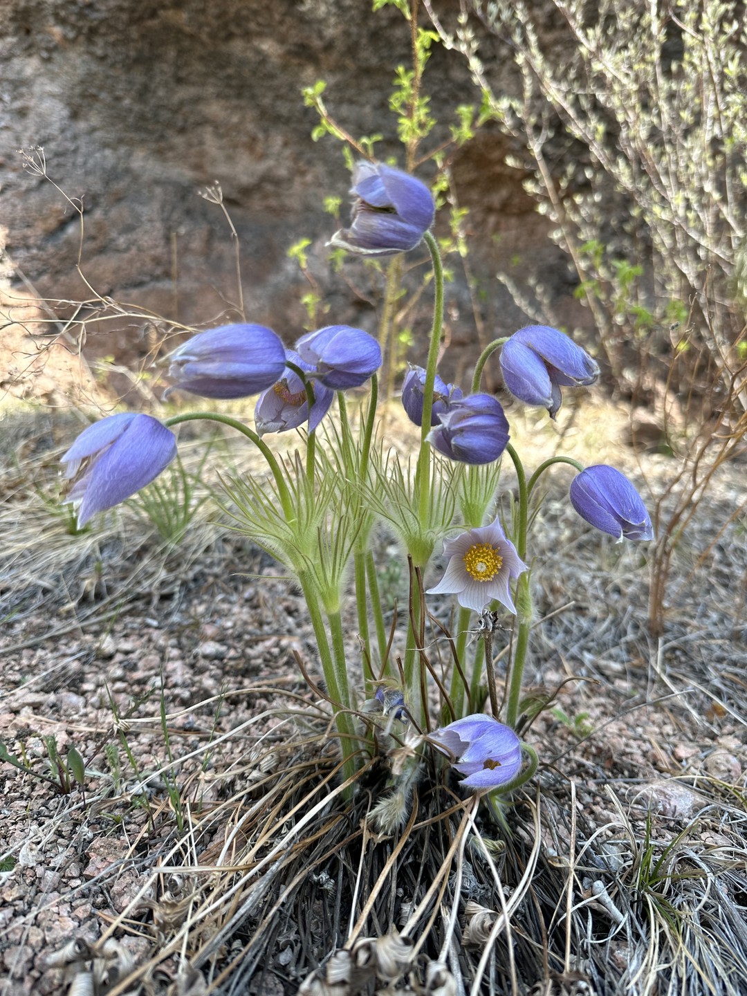 Невероятная природа, ни один набор фотографий не покажет многообразия пейзажей, которые я увидела в этом путешествии.