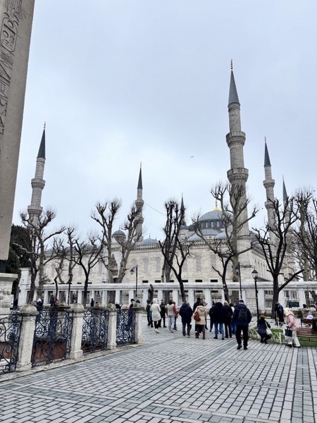 Экскурсия оставила только положительные впечатления! Гид оказался не просто рассказчиком, а настоящим знатоком города. Показал места