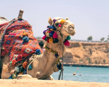 Пляжный отдых