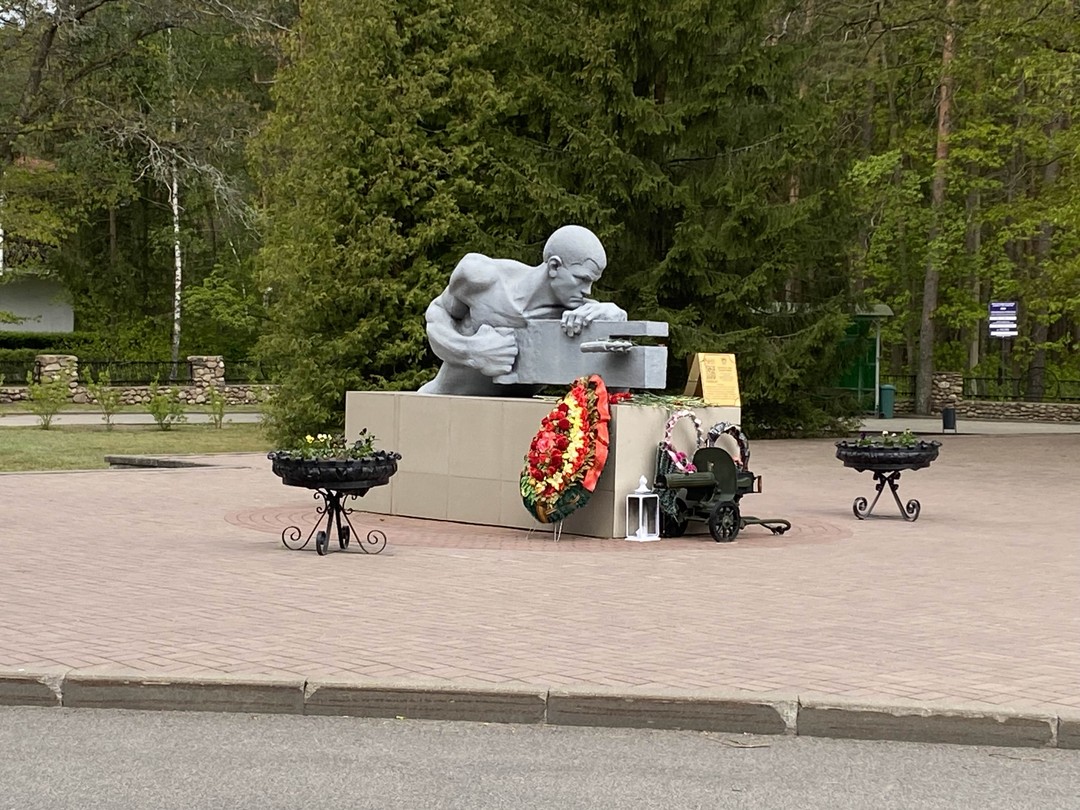 Групповая экскурсия в Брест и Беловежскую пущу (Ирина)