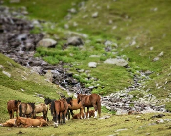 Возвращение в Бишкек