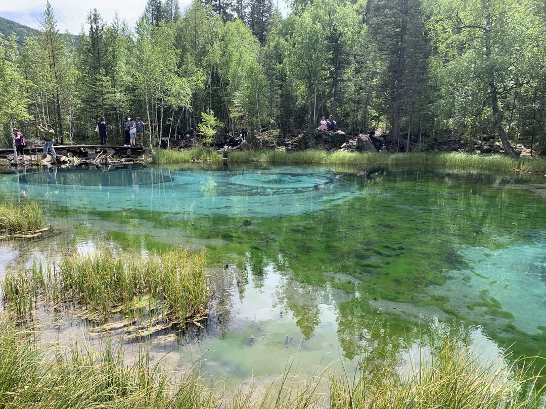 Насыщено и очень красиво. Рекомендую