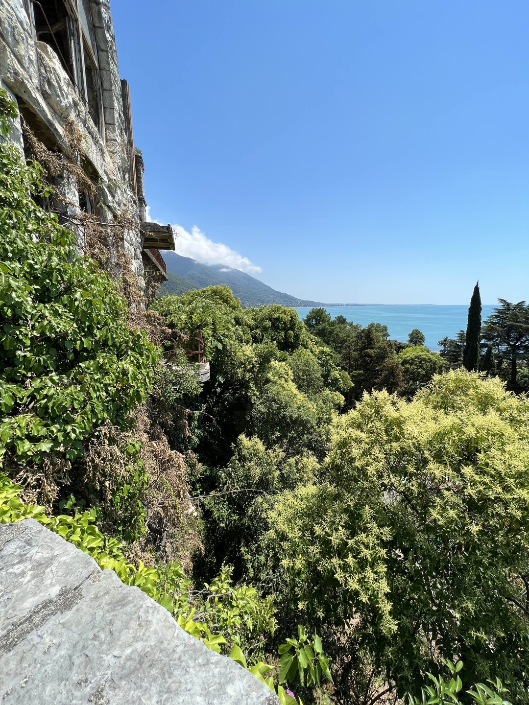 Авторская индивидуальная вайб-экскурсия в Абхазию (Ксения)