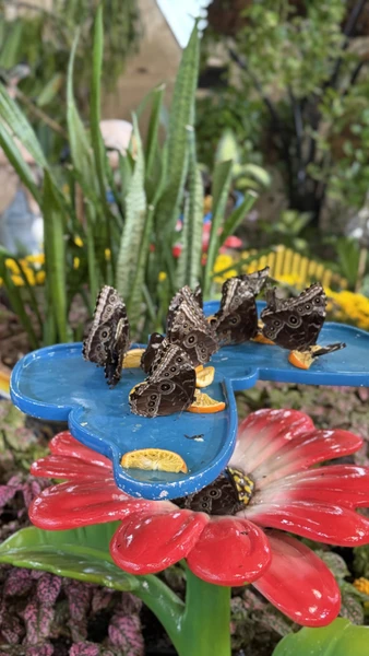 Большое спасибо Ислому и Фаролу! Боала две экскурсии, которые прошли замечательно! Я ОЧЕНЬ довольна! Увидела всё