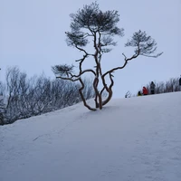 Фото отзыва 3: экскурсия "К Белому морю на остров Ягры"