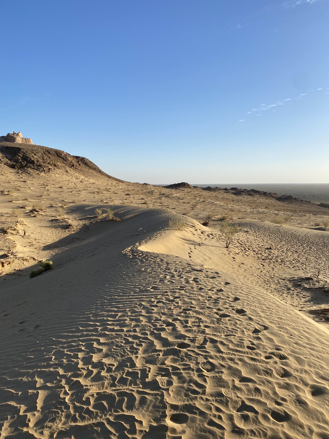 Нам очень понравилась экскурсия! Раджаб замечательный экскурсовод, он прекрасно разбирается в истории древнего Хорезма и очень