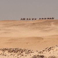 Отзыв о экскурсии "Большой Египетский музей, Саккара и пирамиды Гизы — из Каира" — фото 6