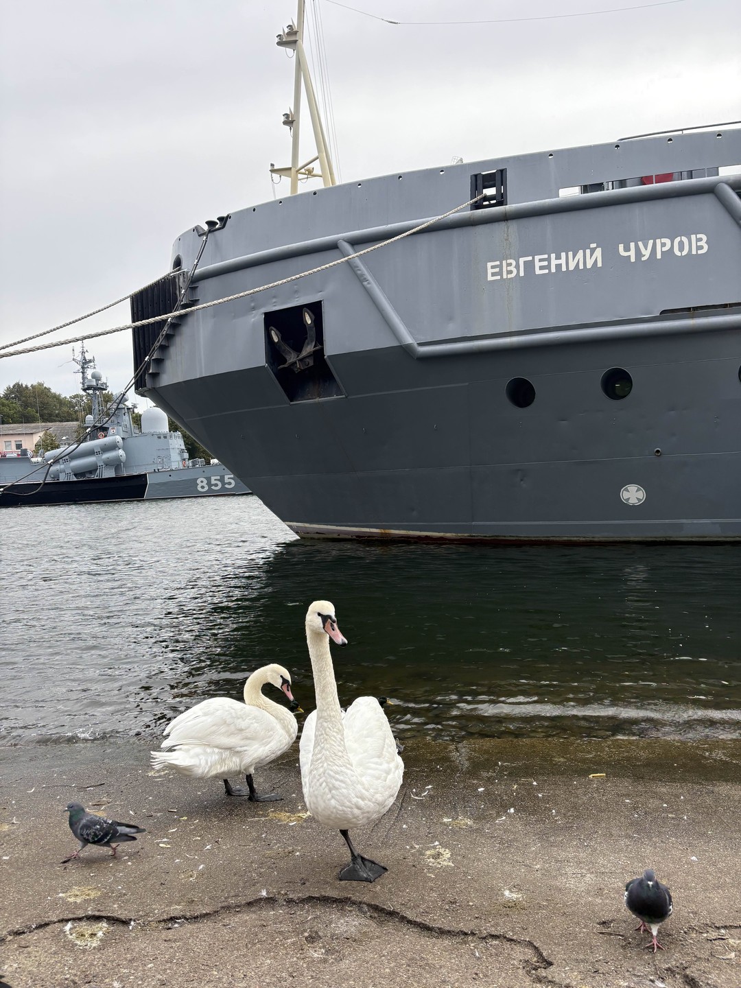 Три города на Балтике: Янтарный, Светлогорск, Балтийск + Филинская бухта (Анастасия)