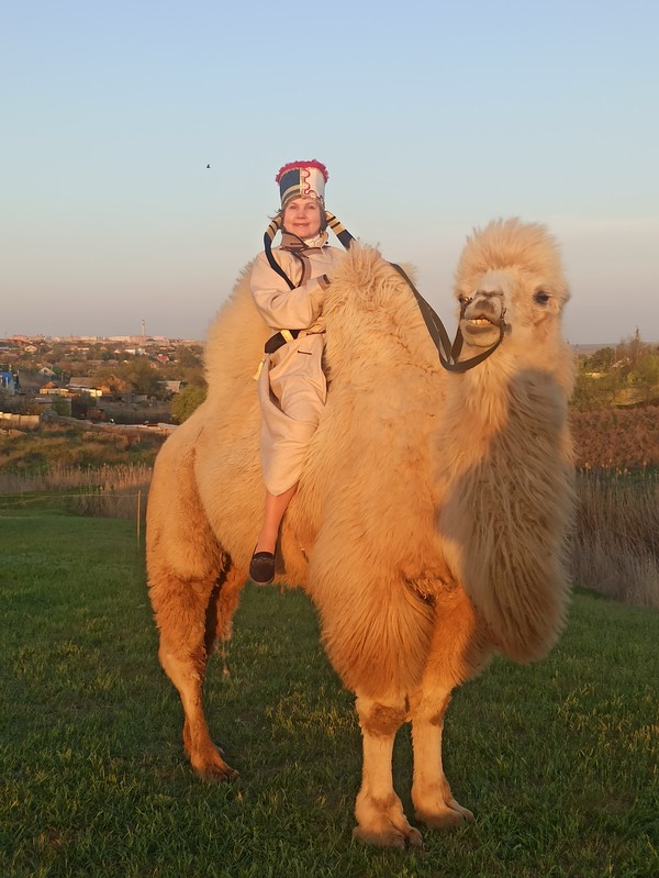 Виды Один день в Калмыкии: путешествие из Железноводска