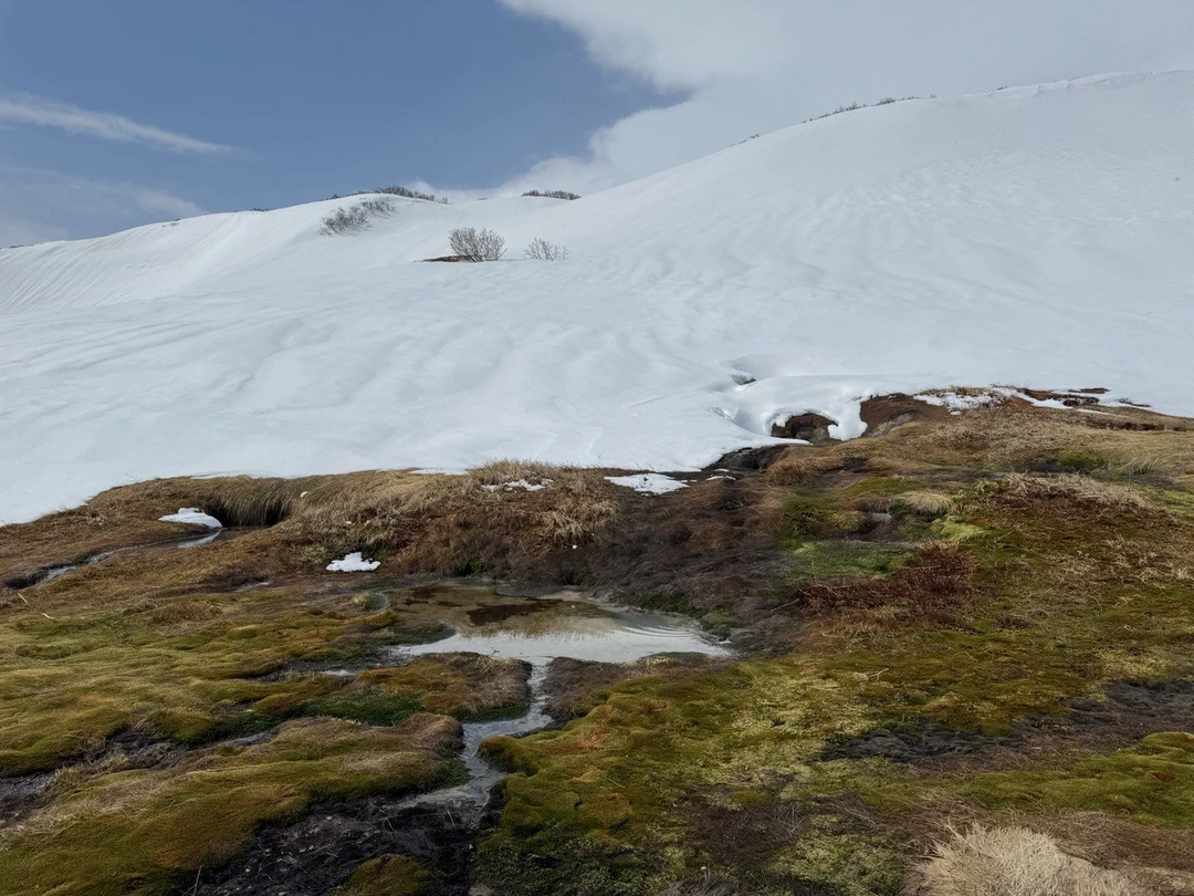 Спасибо огромное Егору и Максиму за такое потрясающее путешествие! Удивительная красота природы Камчатки - незабываемое зрелище!