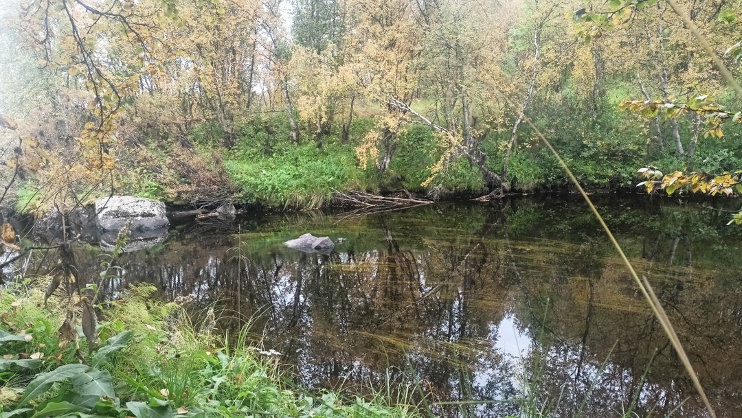 Кольский фьорд и великолепие водопадов (Изотова)