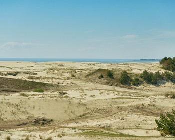 Фото 4: авторский тур «На День Победы в Калининград: экскурсии, погружение в историю и дегустации»