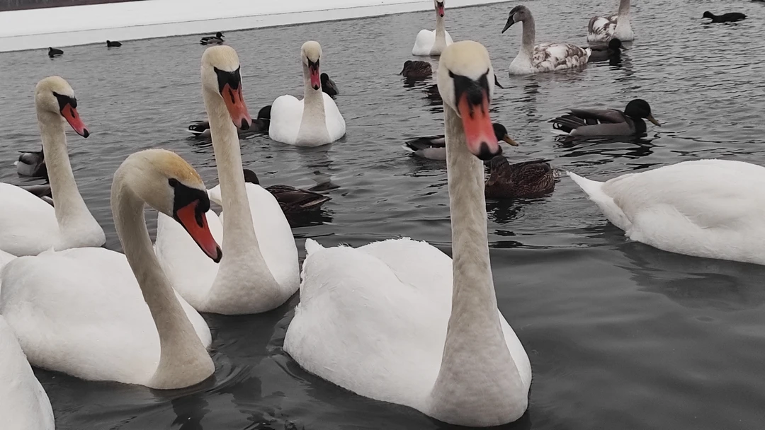 Очень интересная, красивая и развернутая экскурстя