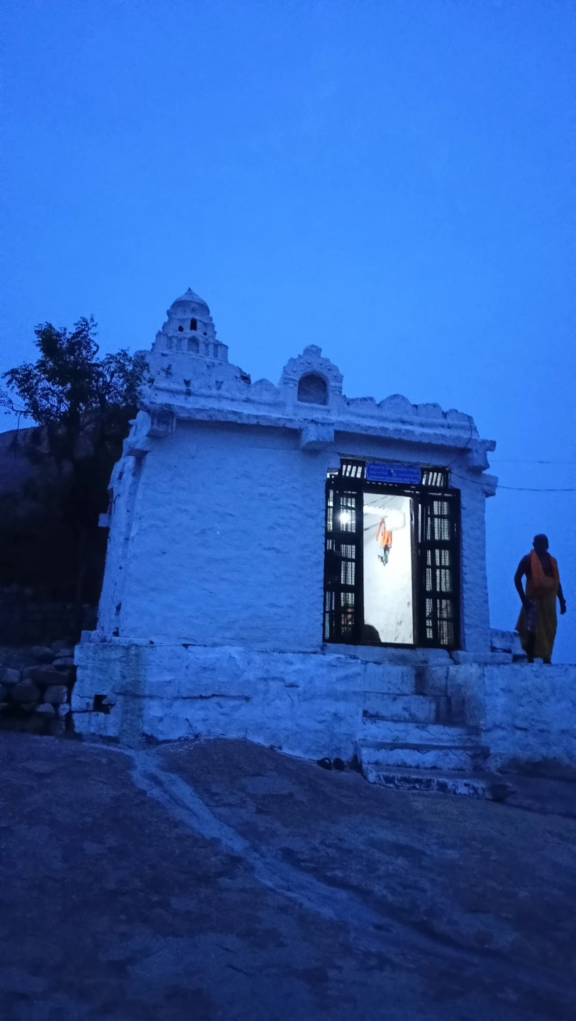 Мы ездили в Хампи 29-30 ноября. Гид была Лина. Нам все очень понравилось. Сколько нового мы