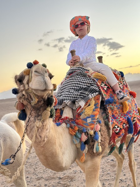 отличная экскурсия. были вдвоем с ребенком, для нас важно, что Ирина была с нами на протяжении
