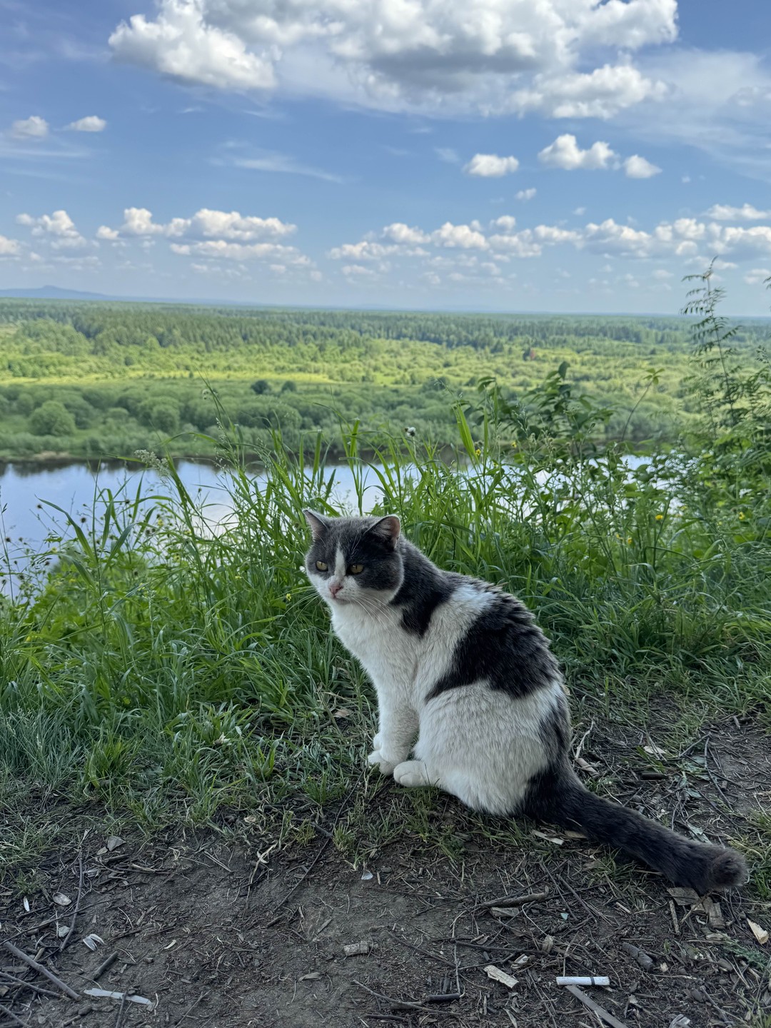 Потрясающая Чердынь: пейзажи, виды, улочки, домики, монастыри, кухня, история, музей…