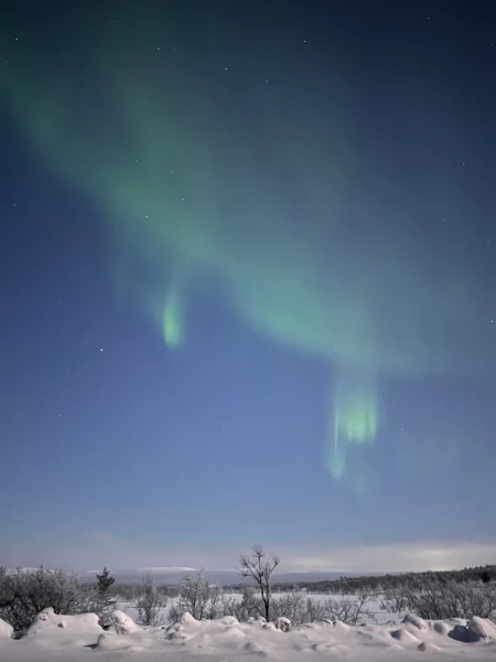 Северное сияние: увидеть главное чудо Заполярья (Оксана)