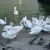 Фото отзыва 4: экскурсия "Балтийск и Балтийская коса: автобусная экскурсия"