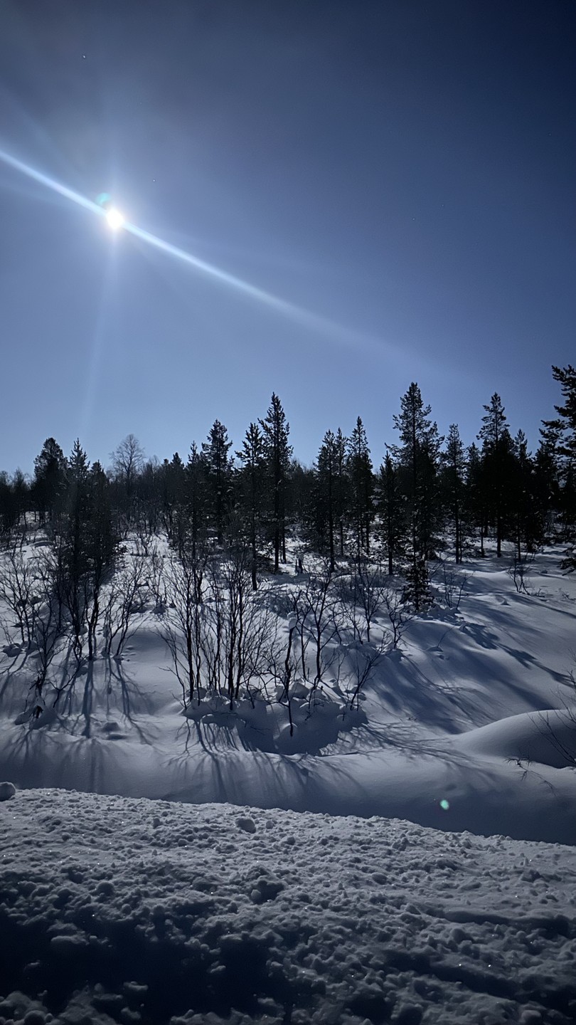 Северное сияние: увидеть главное чудо Заполярья (Дарина)