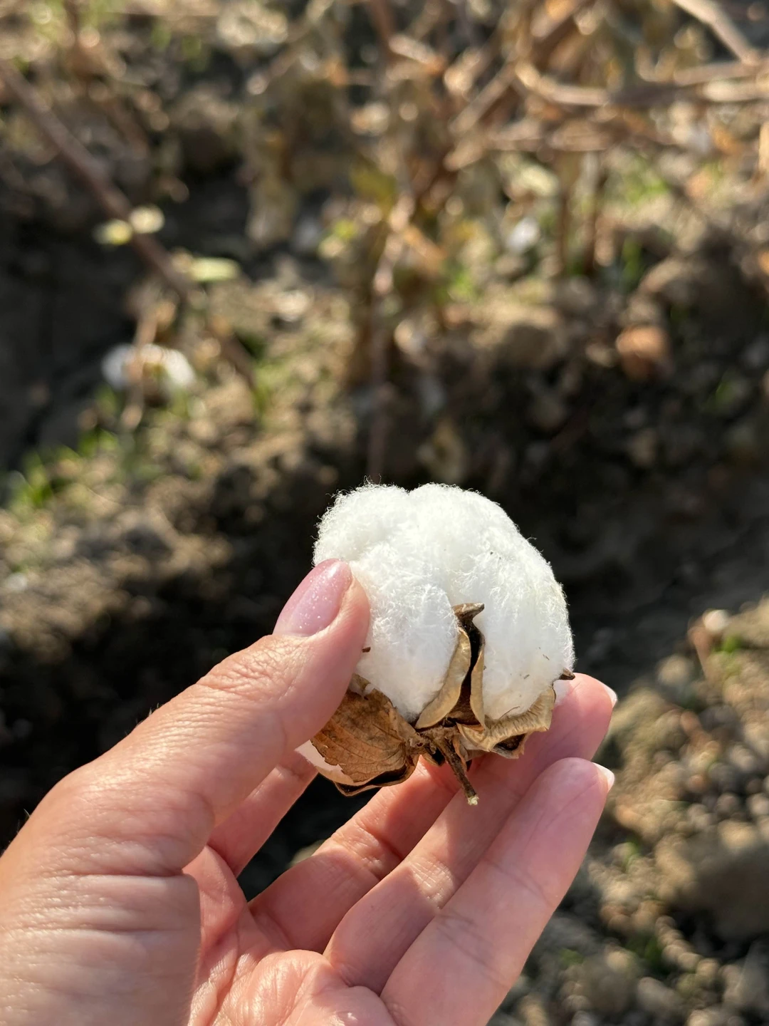 Мы очень довольны поездкой с гидом Бахтийором!