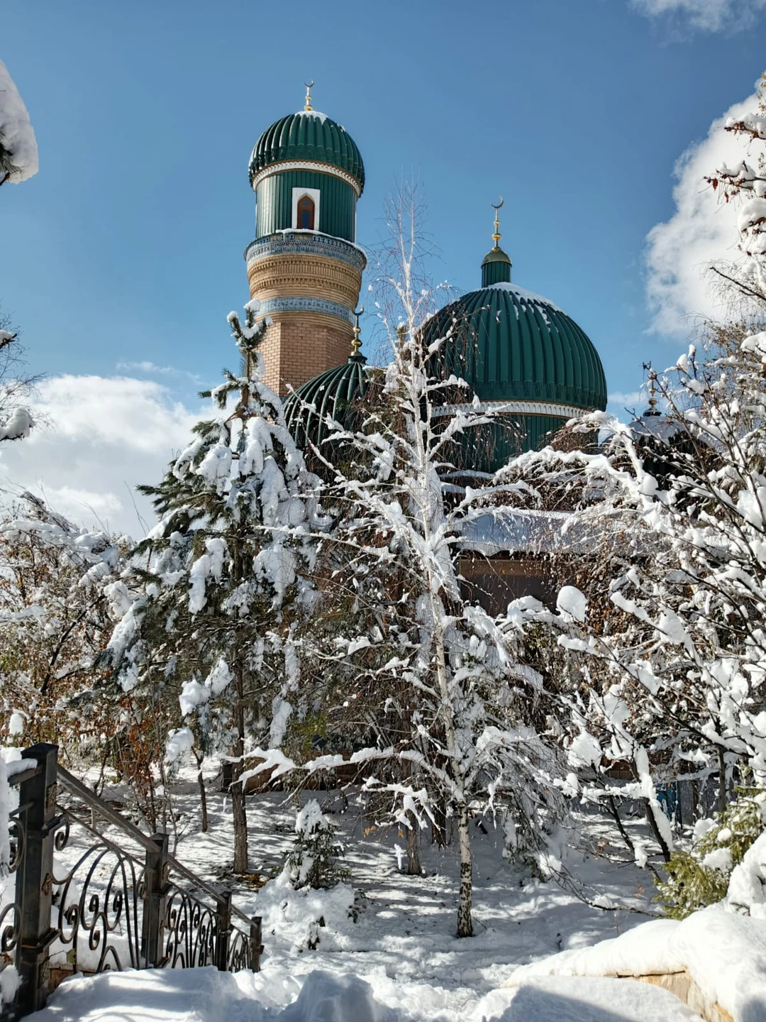 Экскурсия в Институт Солнца, Мечеть Хазрат Али Бува и на винодельню была потрясающей