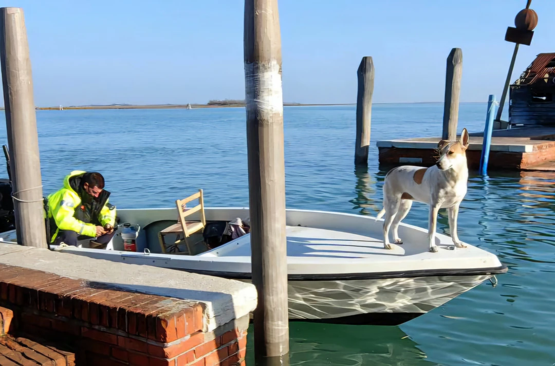 Хотим выразить искреннюю благодарность нашему гиду Валерию, который провел для нас две незабываемые экскурсии - Венецианское