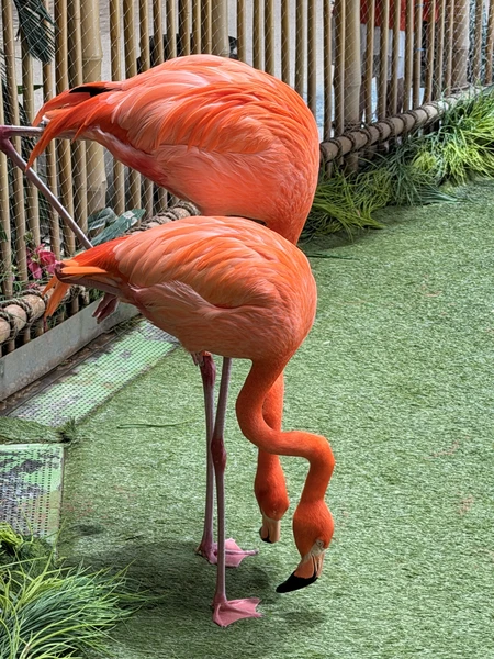 Сопровождал нас гид - Джованни. Встретил в отеле, возил на комфортном авто по всем локациям, рассказал