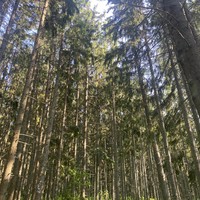 Фото отзыва 2: экскурсия "Путешествие на Талабские острова из Пскова"