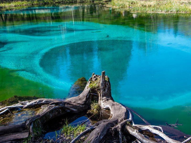 Фото отзыва 3: авторский тур "Автотрип по цветущему Алтаю"