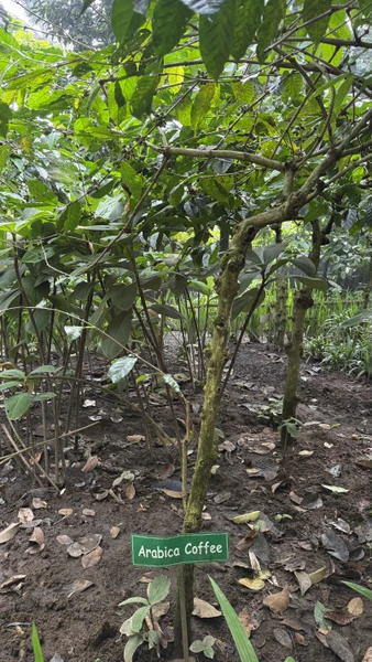 Потрясающее путешествие по экзотическим местам Бали! Ваян - самый лучший гид из всех, кого мы встретили