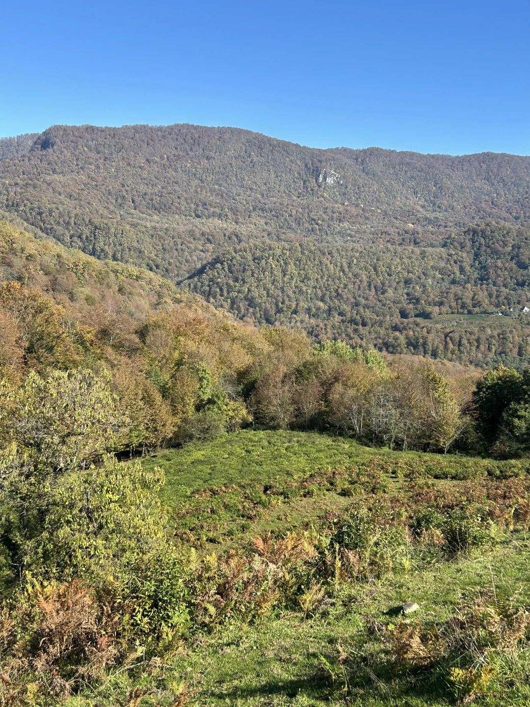 Очень приятная экскурсия! Эдуард — замечательный рассказчик, много знает интересного о местах путешествия, у него грамотная
